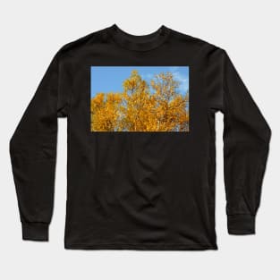 Aspen in Autumn Long Sleeve T-Shirt